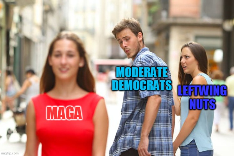 2022 Elections | MODERATE DEMOCRATS; LEFTWING NUTS; MAGA | image tagged in memes,distracted boyfriend,maga,lefties,americans,democrats | made w/ Imgflip meme maker