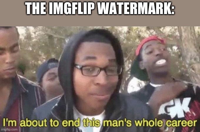 I’m about to end this man’s whole career | THE IMGFLIP WATERMARK: | image tagged in i m about to end this man s whole career | made w/ Imgflip meme maker