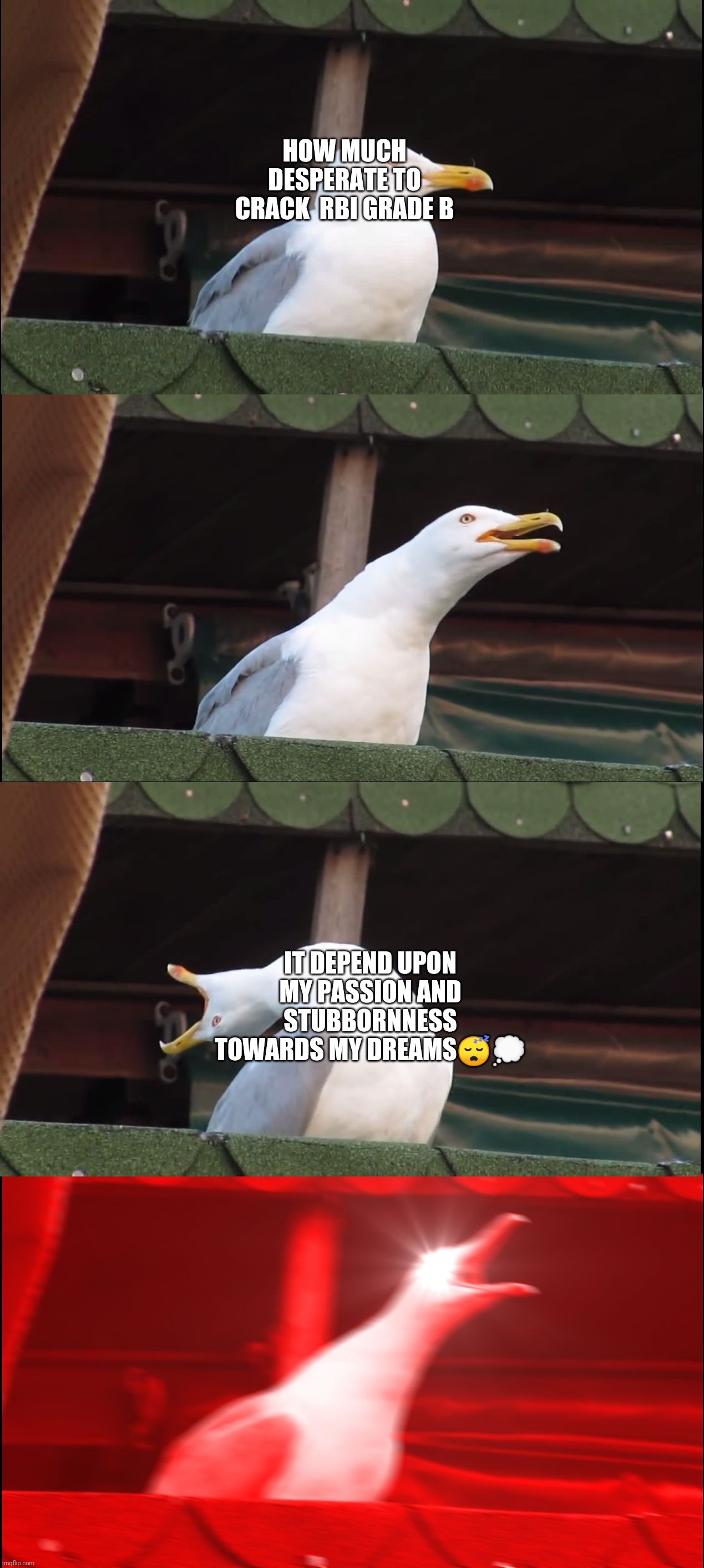 Inhaling Seagull Meme | HOW MUCH DESPERATE TO CRACK  RBI GRADE B; IT DEPEND UPON MY PASSION AND STUBBORNNESS TOWARDS MY DREAMS😴💭 | image tagged in memes,inhaling seagull | made w/ Imgflip meme maker