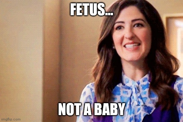 Janet the Good Place | FETUS... NOT A BABY | image tagged in janet the good place | made w/ Imgflip meme maker