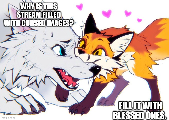 UwU | WHY IS THIS STREAM FILLED WITH CURSED IMAGES? FILL IT WITH BLESSED ONES. | made w/ Imgflip meme maker