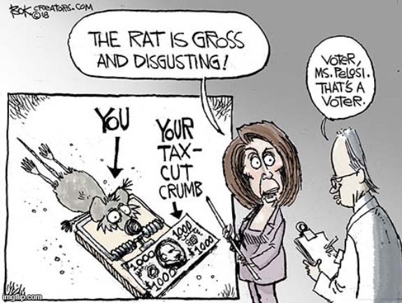 Like She Really Cares? | image tagged in memes,politics,nancy pelosi,rat,same,voters | made w/ Imgflip meme maker