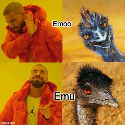 Emoo; Emu | made w/ Imgflip meme maker