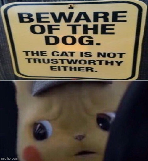 What | image tagged in beware,dogs,funny cats,memes | made w/ Imgflip meme maker