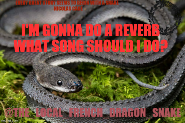 . | I'M GONNA DO A REVERB WHAT SONG SHOULD I DO? | image tagged in bonjour | made w/ Imgflip meme maker