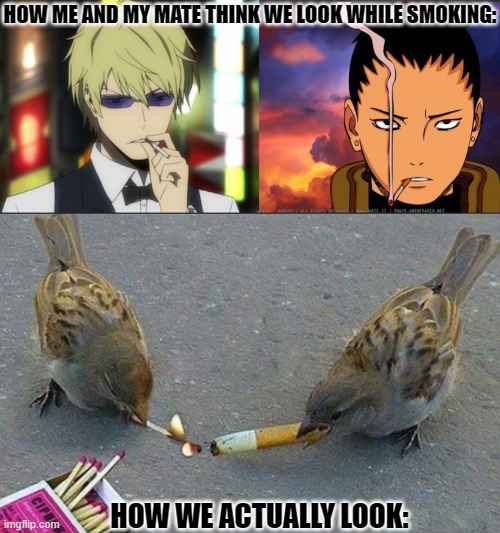 HOW ME AND MY MATE THINK WE LOOK WHILE SMOKING:; HOW WE ACTUALLY LOOK: | made w/ Imgflip meme maker