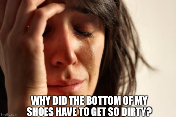 First World Problems Meme | WHY DID THE BOTTOM OF MY SHOES HAVE TO GET SO DIRTY? | image tagged in memes,first world problems | made w/ Imgflip meme maker