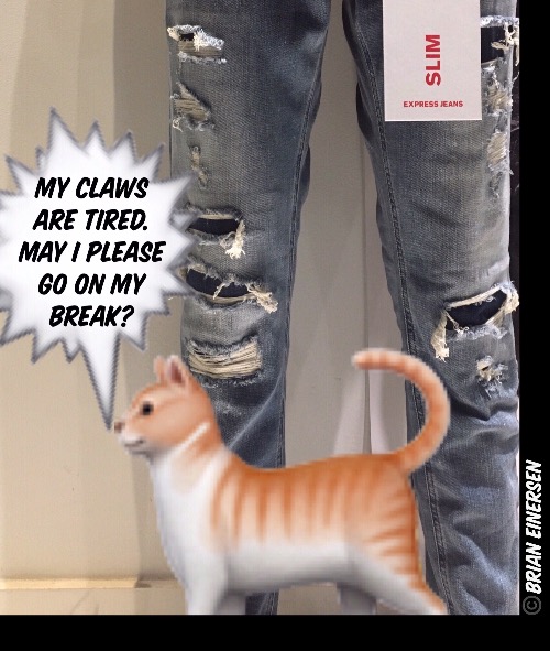 Cat Break | image tagged in fashion,express jeans,deep state denim,cat,brian einersen | made w/ Imgflip meme maker