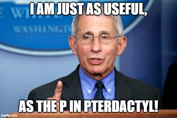 Dr. Fauci | I AM JUST AS USEFUL, AS THE P IN PTERDACTYL! | image tagged in dr fauci | made w/ Imgflip meme maker