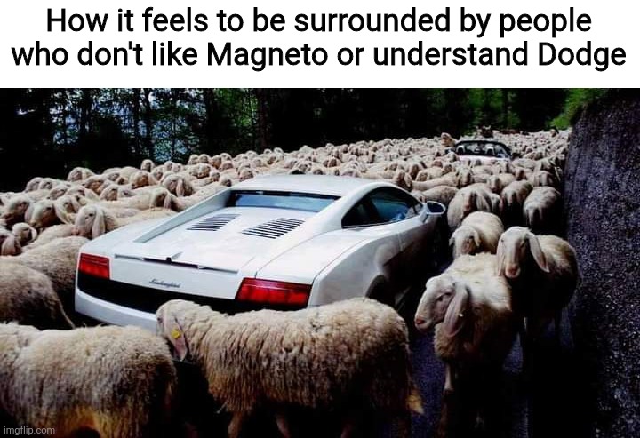 How it feels to be surrounded by people who don't like Magneto or understand Dodge | image tagged in magneto,dodge,x men,sheep,locke and key,what are memes | made w/ Imgflip meme maker