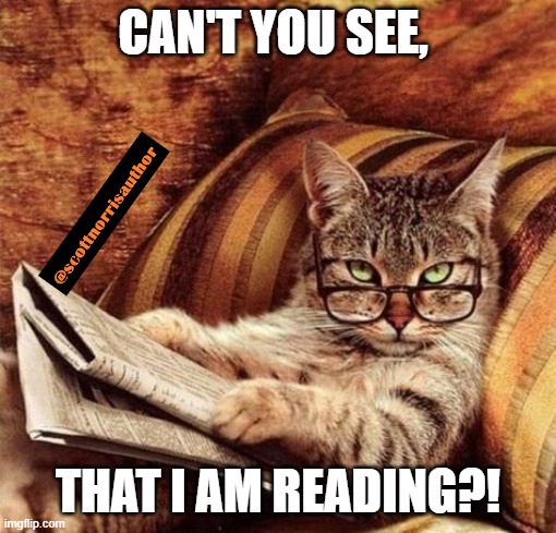 Reading Cat with Glasses | CAN'T YOU SEE, THAT I AM READING?! | image tagged in reading cat with glasses | made w/ Imgflip meme maker