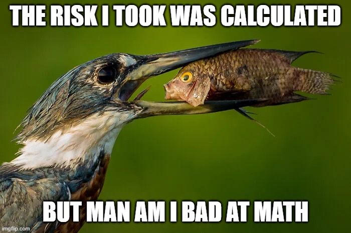 The risk I took was calculated | THE RISK I TOOK WAS CALCULATED; BUT MAN AM I BAD AT MATH | image tagged in risk,funny,funny animals,fish in distress,bird and fish,miscalculated | made w/ Imgflip meme maker