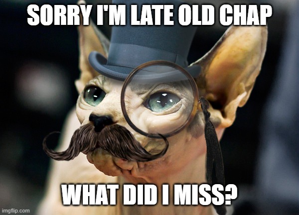 Sorry i'm late what did i miss | SORRY I'M LATE OLD CHAP; WHAT DID I MISS? | image tagged in sorry,late,what did i miss,missing,too late,i'm sorry | made w/ Imgflip meme maker