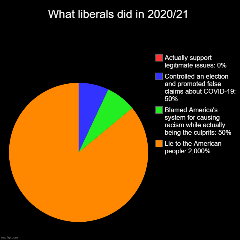 What liberals did last and this year | What liberals did in 2020/21 | Lie to the American people: 2,000%, Blamed America's system for causing racism while actually being the culpr | image tagged in charts,pie charts | made w/ Imgflip chart maker