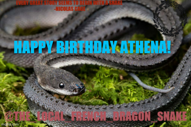 . | HAPPY BIRTHDAY ATHENA! | image tagged in bonjour | made w/ Imgflip meme maker