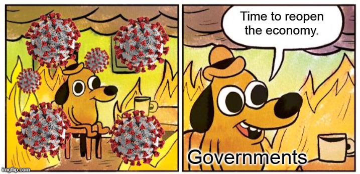 This Is Fine | Time to reopen the economy. Governments | image tagged in memes,this is fine | made w/ Imgflip meme maker