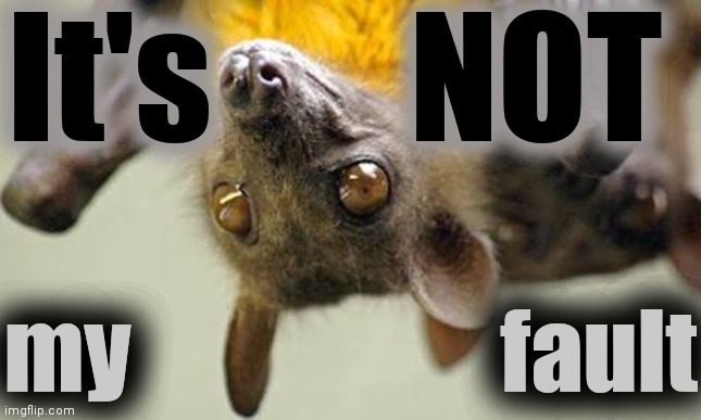 Fruit bats | It's       NOT my                    fault | image tagged in fruit bats | made w/ Imgflip meme maker