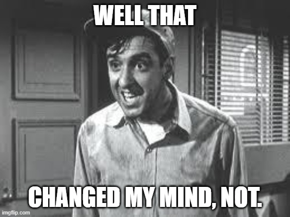 Gomer Pyle | WELL THAT CHANGED MY MIND, NOT. | image tagged in gomer pyle | made w/ Imgflip meme maker