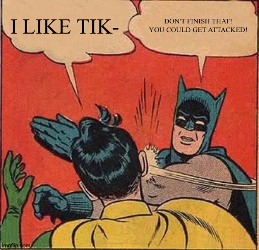 Batman Slapping Robin |  I LIKE TIK-; DON'T FINISH THAT! YOU COULD GET ATTACKED! | image tagged in memes,batman slapping robin | made w/ Imgflip meme maker