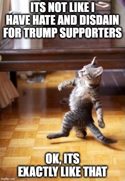 Cool Cat Stroll | ITS NOT LIKE I HAVE HATE AND DISDAIN FOR TRUMP SUPPORTERS; OK, ITS EXACTLY LIKE THAT | image tagged in memes,cool cat stroll,politics,maga,donald trump is an idiot,civil war | made w/ Imgflip meme maker