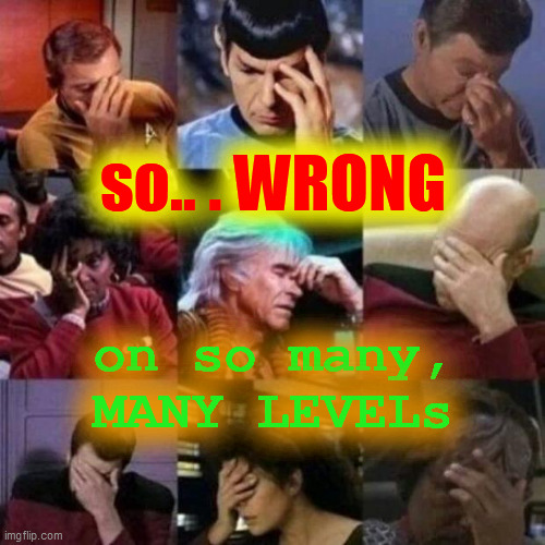 star trek face palm | so.. . WRONG on so many,
MANY LEVELs | image tagged in star trek face palm | made w/ Imgflip meme maker