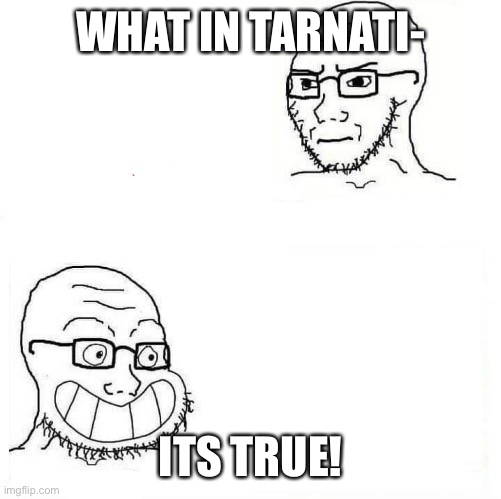 So True Wojak | WHAT IN TARNATI- ITS TRUE! | image tagged in so true wojak | made w/ Imgflip meme maker