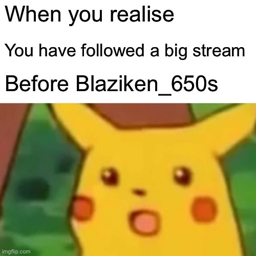 Mod Edit: Yep, we just need 3 followers to reach 1,000 followers on | When you realise; You have followed a big stream; Before Blaziken_650s | image tagged in memes,surprised pikachu,blaziken_650s,theuntypicalmememaker,everyones a mod | made w/ Imgflip meme maker