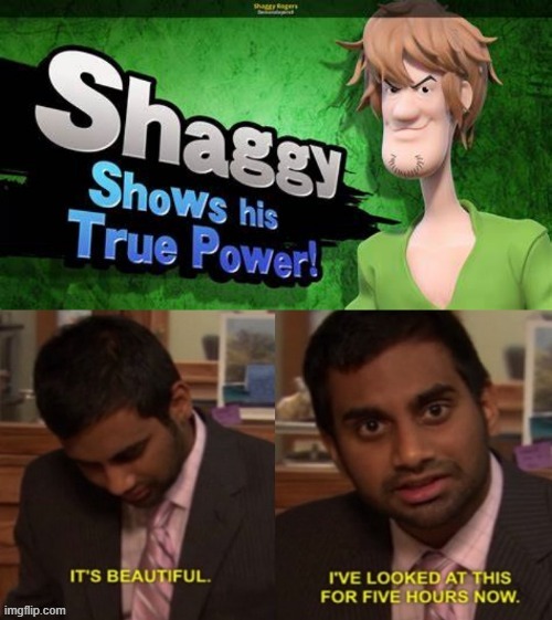 ALL HAIL SHAGGY!!! | image tagged in shaggy,i've looked at this for 5 hours now,super smash bros | made w/ Imgflip meme maker