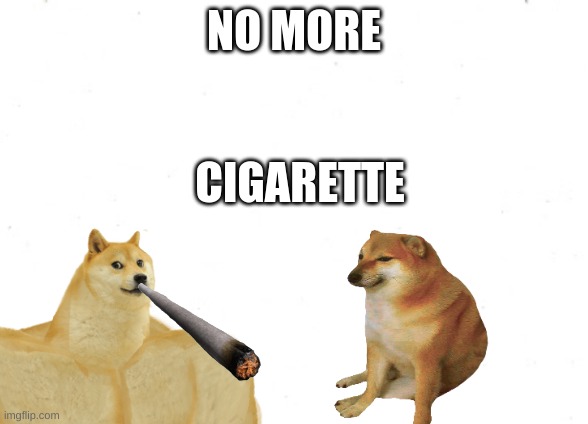 no more | NO MORE; CIGARETTE | image tagged in no more | made w/ Imgflip meme maker