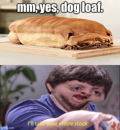mm, yes, dog loaf. | image tagged in i'll take your entire stock,dog,bread,wait what,oh wow are you actually reading these tags,stop reading the tags | made w/ Imgflip meme maker