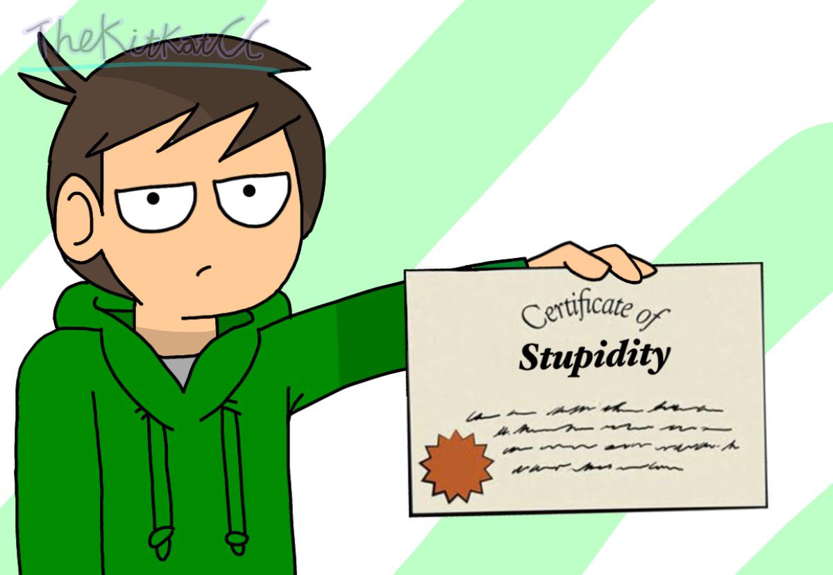 Certificate of Stupidity by Edd Blank Meme Template
