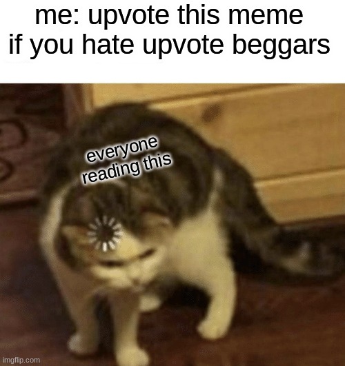 is this an upvote beg, you decide | me: upvote this meme if you hate upvote beggars; everyone reading this | image tagged in cat loading template | made w/ Imgflip meme maker