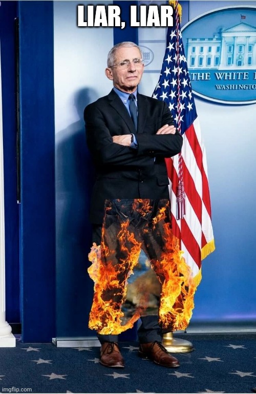 He should probably just disappear before an arrest is made. | LIAR, LIAR | image tagged in memes | made w/ Imgflip meme maker
