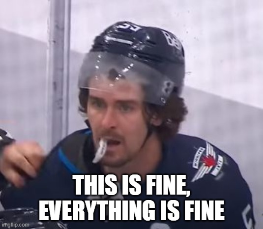 THIS IS FINE, EVERYTHING IS FINE | made w/ Imgflip meme maker