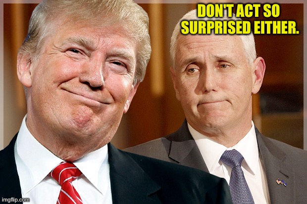 Trump & Pence | DON'T ACT SO 
SURPRISED EITHER. | image tagged in trump pence | made w/ Imgflip meme maker