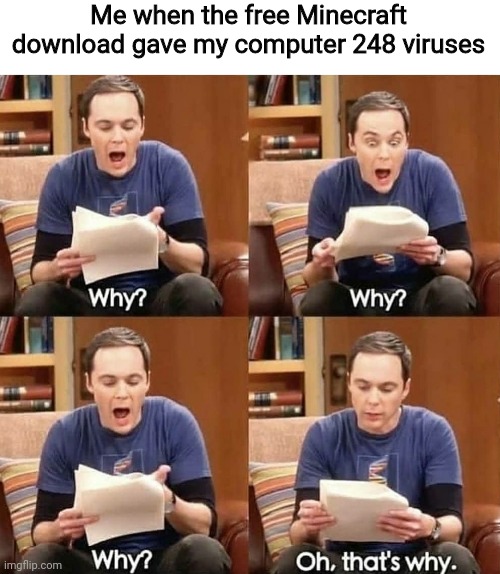 But free Minecraft... right? | Me when the free Minecraft download gave my computer 248 viruses | image tagged in sheldon why,memes,minecraft,sheldon cooper,free stuff | made w/ Imgflip meme maker