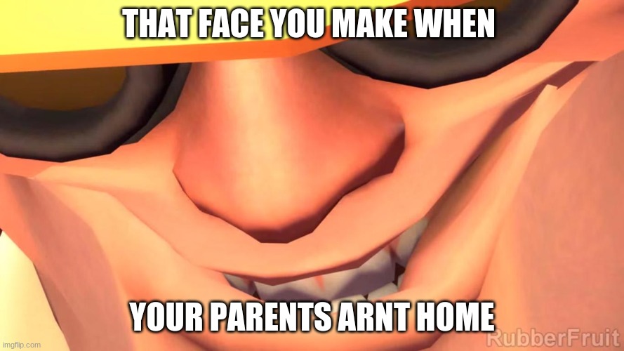 Y E S | THAT FACE YOU MAKE WHEN; YOUR PARENTS ARNT HOME | image tagged in tf2,tf2 engineer | made w/ Imgflip meme maker