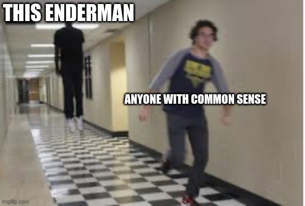 Running Down Hallway | THIS ENDERMAN ANYONE WITH COMMON SENSE | image tagged in running down hallway | made w/ Imgflip meme maker