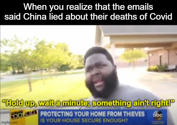 Wouldn't that mean their cases ae higher than everybody's have a staggering loss, I mean, last year they lost 10m people in gene | When you realize that the emails said China lied about their deaths of Covid | image tagged in hold up wait a minute something aint right,china | made w/ Imgflip meme maker