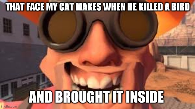 ack | THAT FACE MY CAT MAKES WHEN HE KILLED A BIRD; AND BROUGHT IT INSIDE | image tagged in tf2,tf2 engineer | made w/ Imgflip meme maker