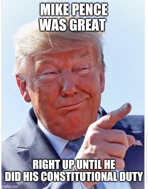 Trump pointing | MIKE PENCE WAS GREAT RIGHT UP UNTIL HE DID HIS CONSTITUTIONAL DUTY | image tagged in trump pointing | made w/ Imgflip meme maker