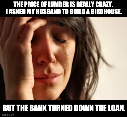 Lumber | THE PRICE OF LUMBER IS REALLY CRAZY.  I ASKED MY HUSBAND TO BUILD A BIRDHOUSE. BUT THE BANK TURNED DOWN THE LOAN. | image tagged in memes,first world problems | made w/ Imgflip meme maker