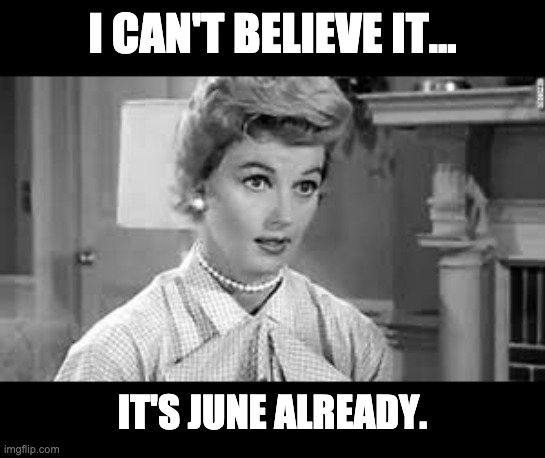 June | I CAN'T BELIEVE IT... IT'S JUNE ALREADY. | image tagged in june cleaver | made w/ Imgflip meme maker