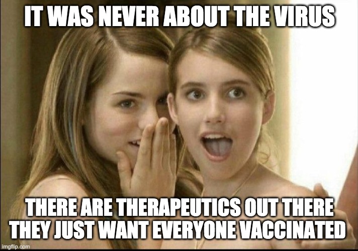 Girls whispering | IT WAS NEVER ABOUT THE VIRUS THERE ARE THERAPEUTICS OUT THERE
THEY JUST WANT EVERYONE VACCINATED | image tagged in girls whispering | made w/ Imgflip meme maker