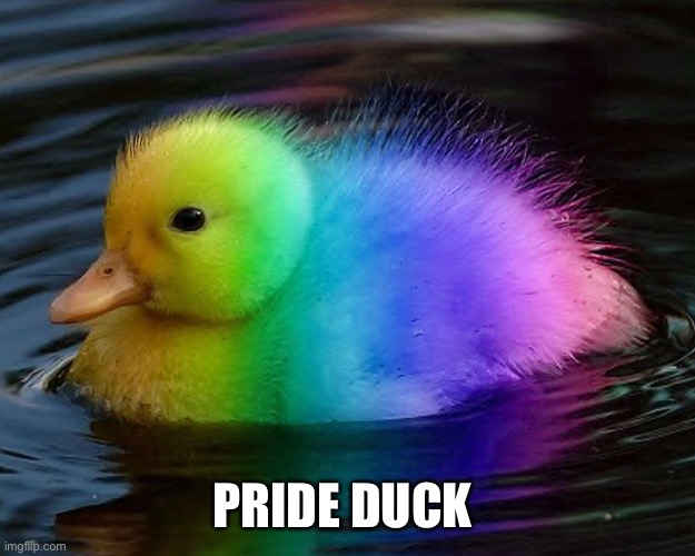 Pride duck go brrr | PRIDE DUCK | made w/ Imgflip meme maker