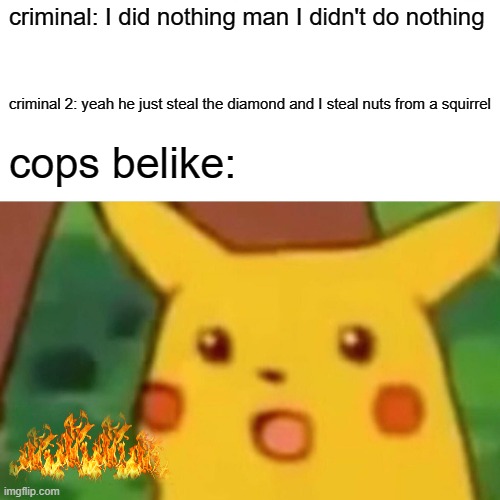 criminals blame | criminal: I did nothing man I didn't do nothing; criminal 2: yeah he just steal the diamond and I steal nuts from a squirrel; cops belike: | image tagged in memes,surprised pikachu | made w/ Imgflip meme maker