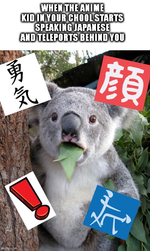 that's why u should watch too much anime |  WHEN THE ANIME KID IN YOUR CHOOL STARTS SPEAKING JAPANESE AND TELEPORTS BEHIND YOU | image tagged in memes,surprised koala,anime,teleport,magical powers because of anime | made w/ Imgflip meme maker