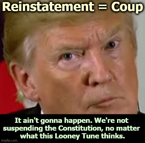 There is no such thing as reinstatement. It exists only in the diseased mind of this dilated loser. | Reinstatement = Coup; It ain't gonna happen. We're not 
suspending the Constitution, no matter 
what this Looney Tune thinks. | image tagged in trump eyes dilated,trump,fantasy,sick,coup | made w/ Imgflip meme maker
