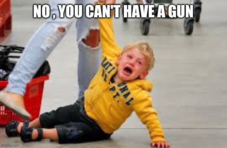 Tantrum store | NO , YOU CAN'T HAVE A GUN | image tagged in tantrum store | made w/ Imgflip meme maker