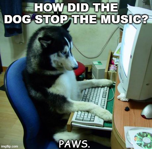 Daily Bad Dad Joke June 4 2021 | HOW DID THE DOG STOP THE MUSIC? PAWS. | image tagged in memes,i have no idea what i am doing | made w/ Imgflip meme maker